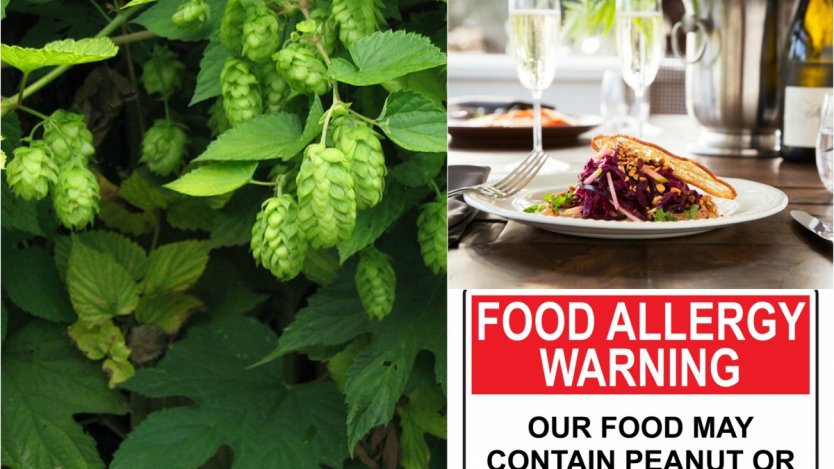 Canadian food news to catch up on for December 2016