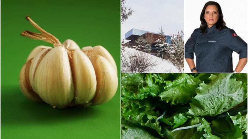 Image for ICYMI: Oliver & Bonacini expands to Saskatoon, $45K of lettuce stolen in Ontario and more