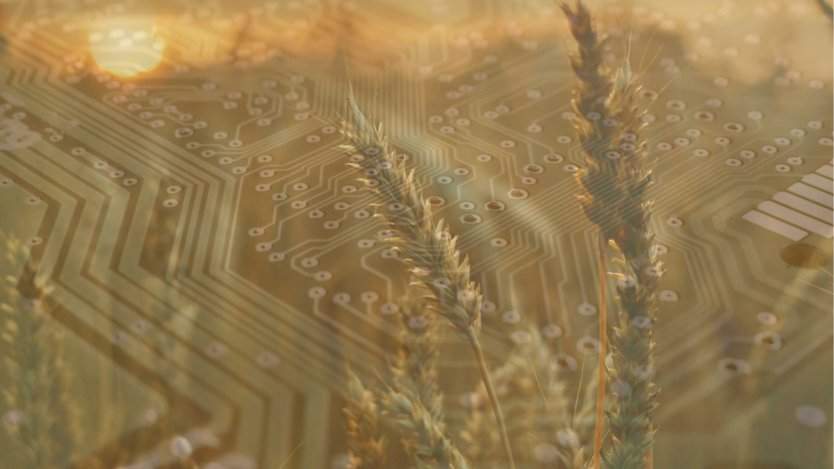 Image for The Prairie Grid Dinner Series returns this September with its new theme of &quot;innovation&quot;