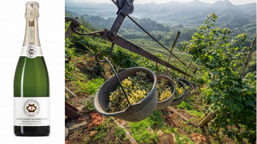 Image for Get to know the prosecco that has the luxury of Champagne without the price tag