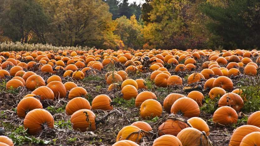 Photo by Liz West on Flickr. Photo by Liz West on Flickr.