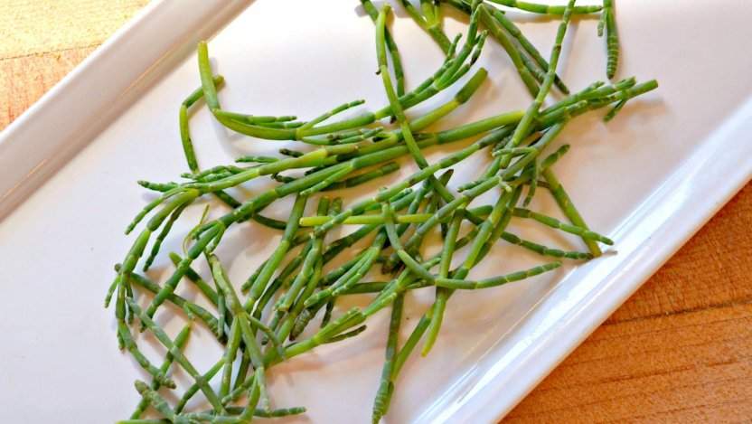 Sea asparagus uses