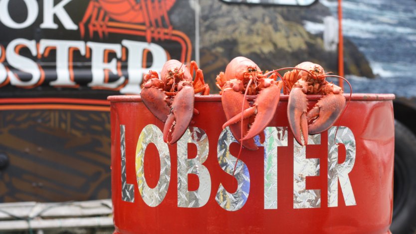 A T-shirt with the slogan What happens in Nova Scotia stays in Nova  Scotia. The design references the lobster fishing industry of Atlantic  Canada Stock Photo - Alamy