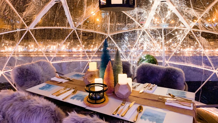 Images provided. Illustration of 2021 Winterlust by @tiffanyhuynhart