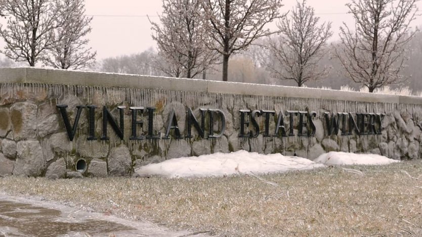 Image for Remembering Ontario's Lloyd Schmidt: one of Canada’s great wine innovators