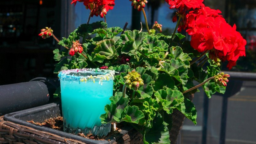 Image for Papi’s Seafood and Oyster Bar's One Proud Papi cocktail