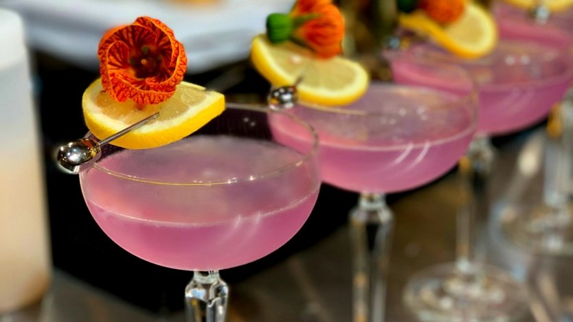 Image for Shannon Boudreau&#039;s The Cocoon Evolution cocktail