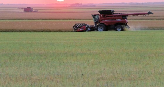 ICYMI: BC permanently caps food delivery fees, Saskatchewan farmers spearhead new tech, and more - Vimarsana News