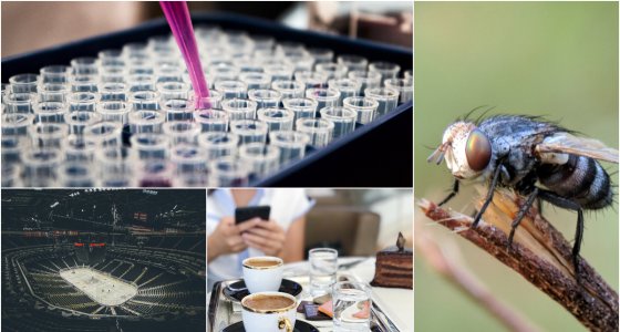 ICYMI: Canada invests in insects, researchers cultivate new form of meat, and more - Vimarsana News
