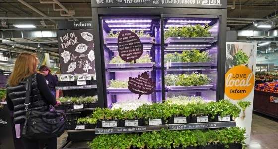 Safeway Sobeys And Thrifty Foods To Add Infarm Hydroponic Systems