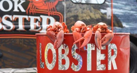 Why East Coasters Go Wild For Winter Lobster Eat North
